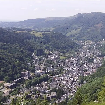 F2 Au Mont-dore, Centre, Prox. Commodites, Wifi Illimite, 37m², Cuisine Equipee, 4 Pers., Non Fumeur - Fr-1-415-129 Apartment